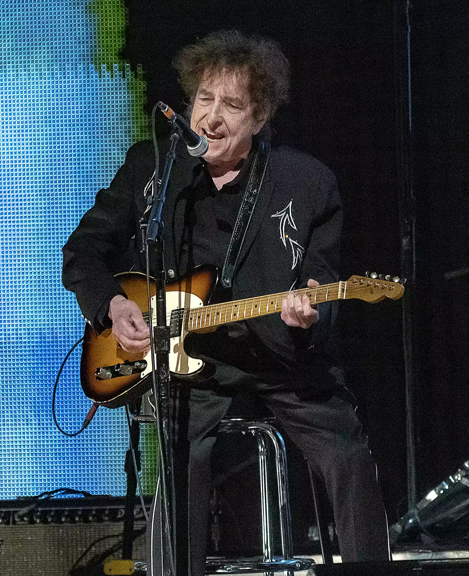 Bob Dylan performs in concert during Farm Aid at Ruoff Home Mortgage Music Center